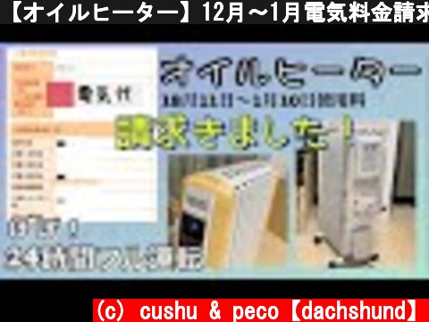 【オイルヒーター】12月〜1月電気料金請求額【1ヶ月使った感想】  (c) cushu & peco【dachshund】